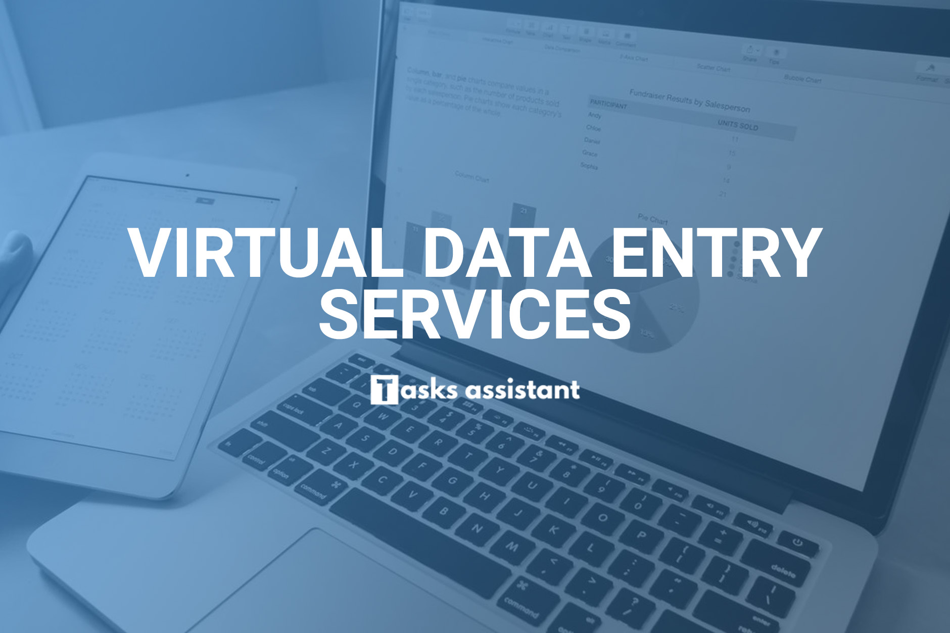 Virtual Data Entry